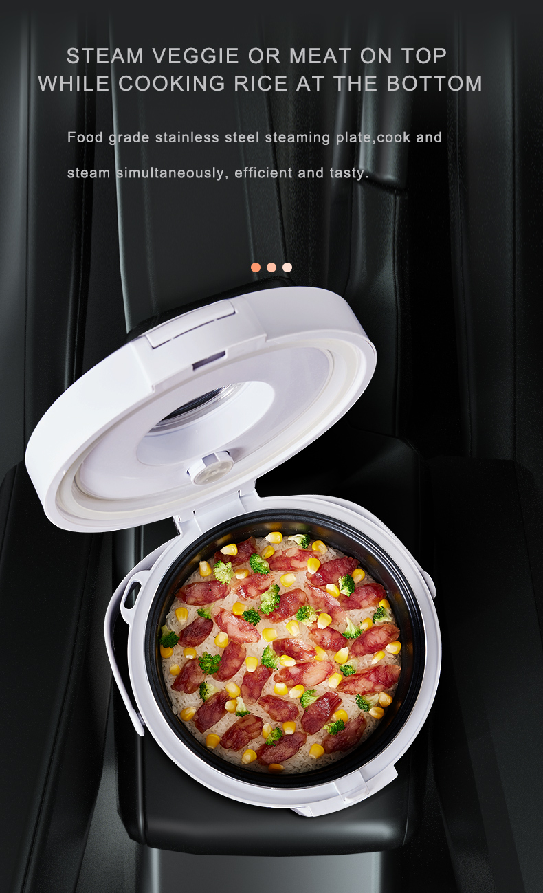 Scaldavivande Elettrico 24V pe - Camping No Cooking Meals recensione e prezzo